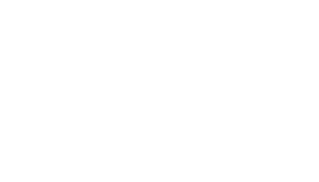 King Palm